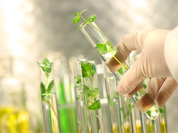 Close-up of small plants in test tubes